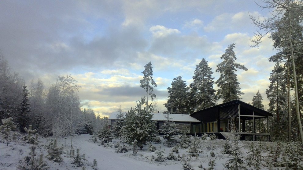Palokärki